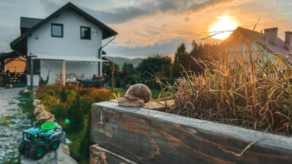 Magiczny Przystanek Apartamento Myczków Exterior foto